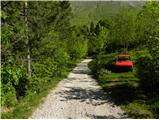 Planina Kuhinja - Planica below Krn